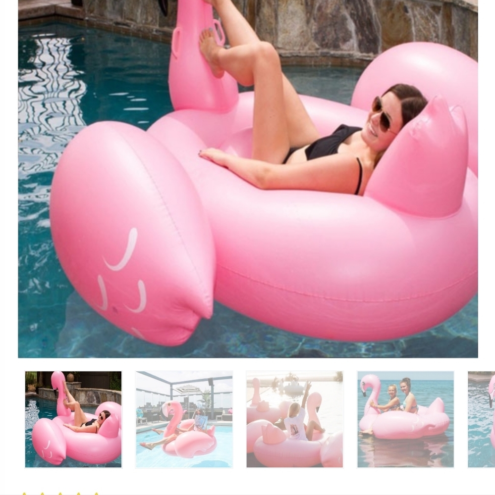 Flamingo Float